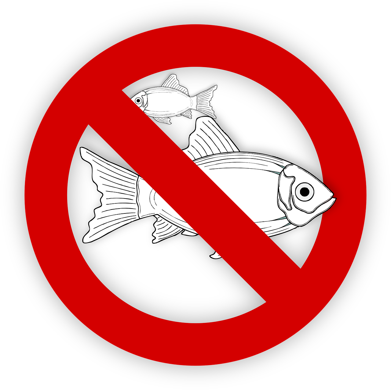 pixabay-995050-36.png